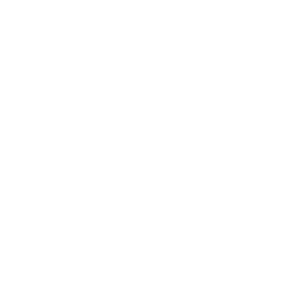 Bikeschule Arosa Logo Weiss - REMA ist die erste Bikeschule in Arosa