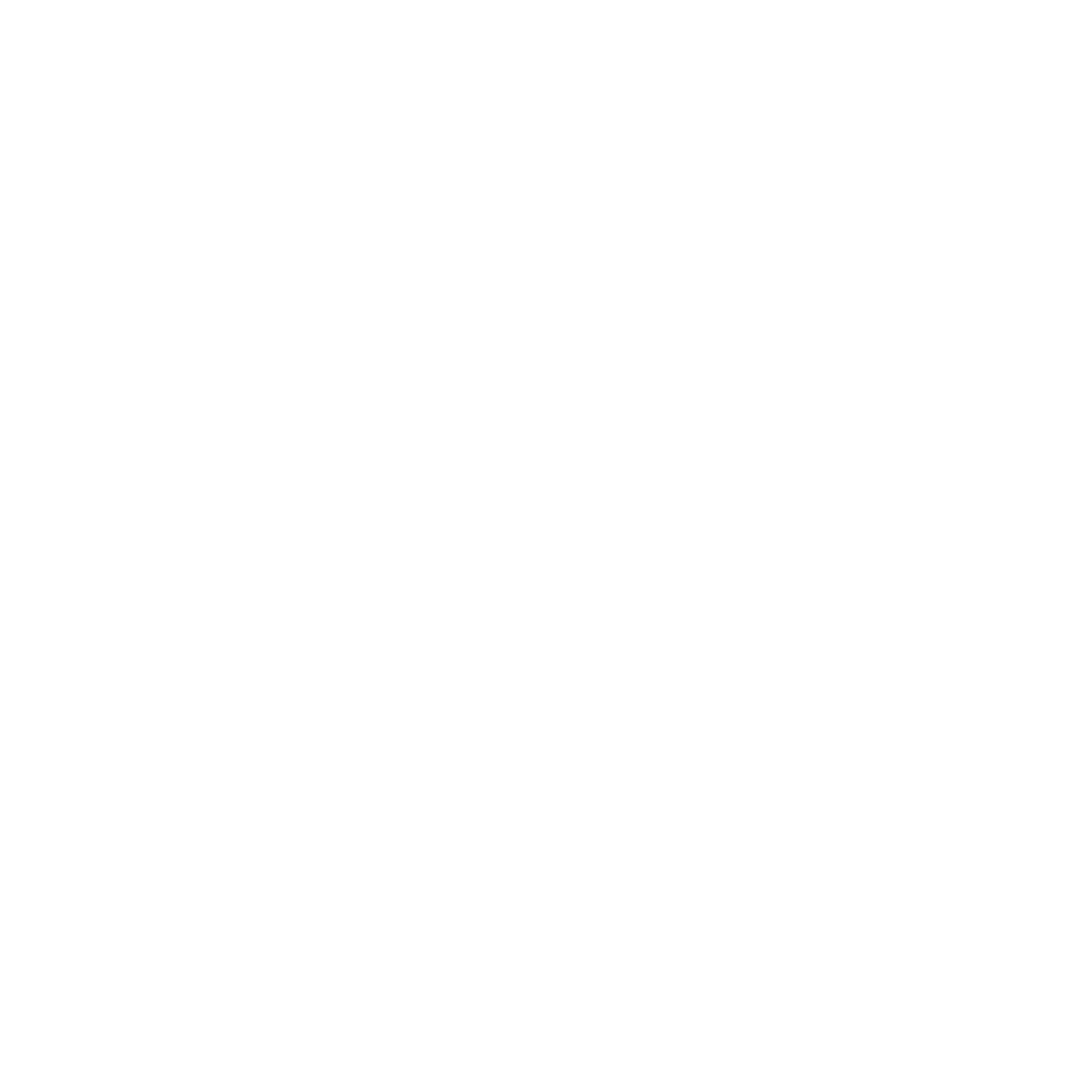 Bikeschule Arosa Logo Weiss - REMA ist die erste Bikeschule in Arosa